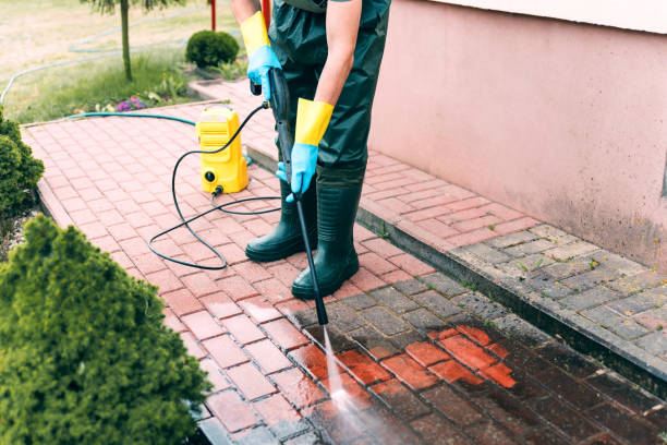 Best Solar Panel Cleaning  in Petersburg, WV